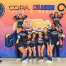 Performance Copa Colombia